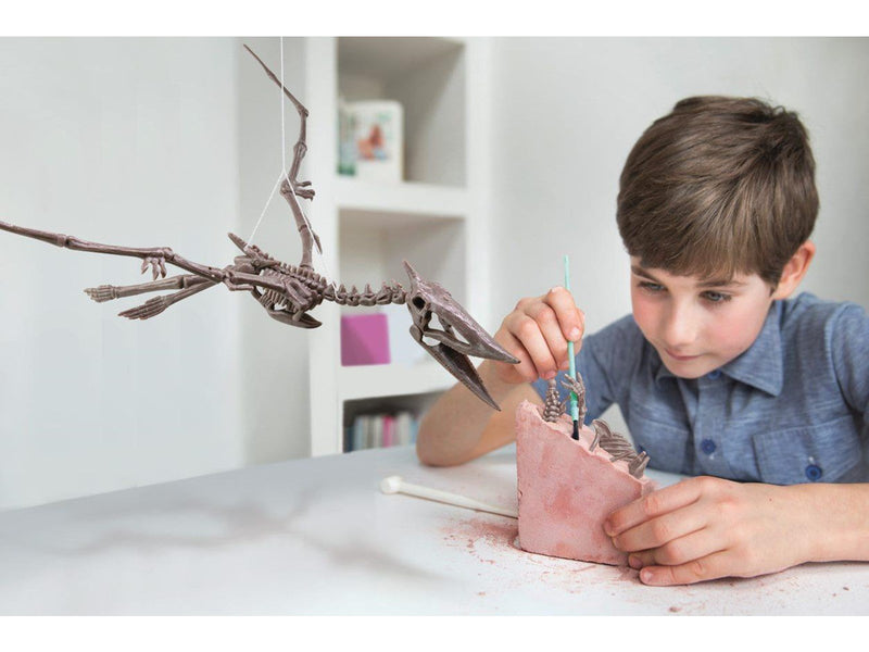 4M KidzLabs / Dig a Pteranodon skeleon