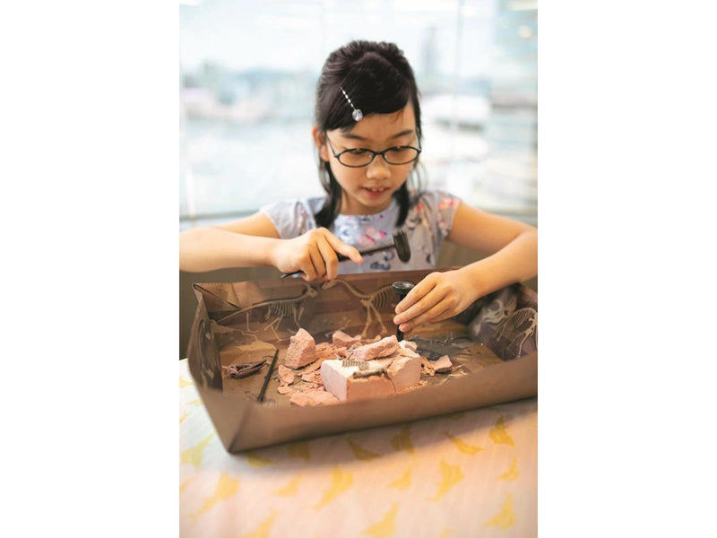 4M KidzLabs / Dig a Pteranodon skeleon