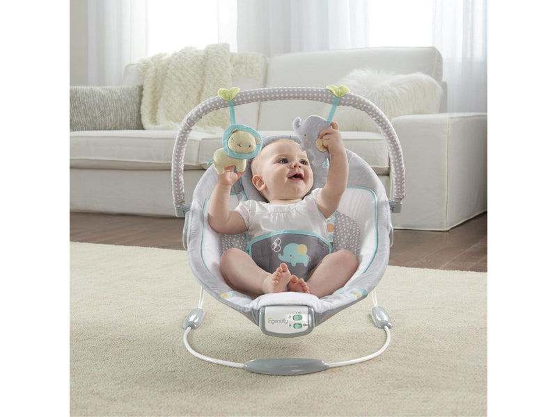 Ingenuity Soothing Bouncer™ Morrison