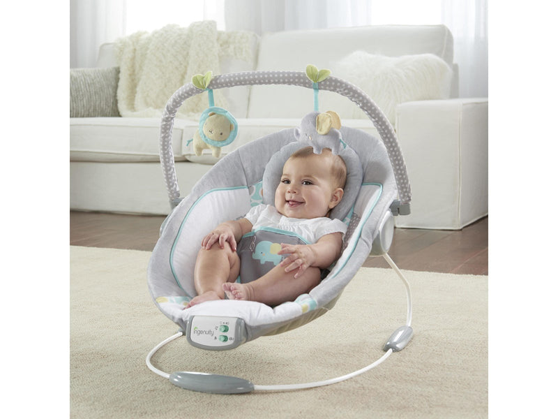 Ingenuity Soothing Bouncer™ Morrison