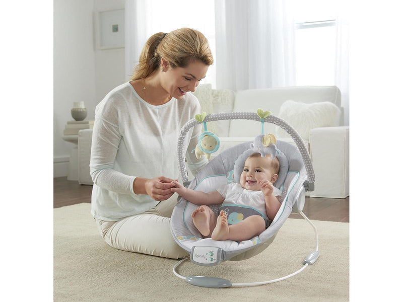 Ingenuity Soothing Bouncer™ Morrison