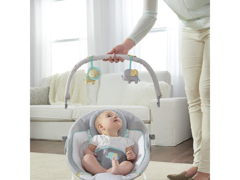 Ingenuity Soothing Bouncer™ Morrison