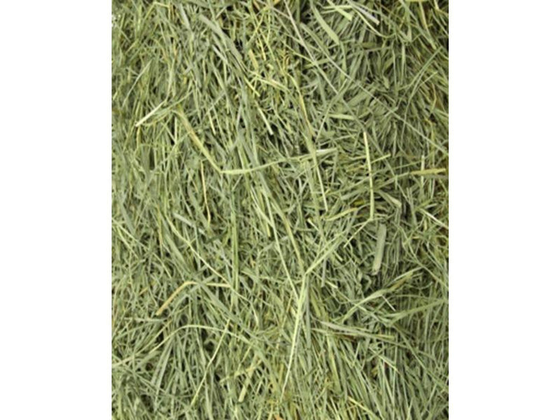Dogman Hay Without Chemical Pesticides 650g 24L