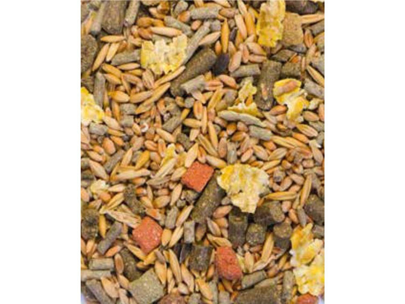 Dogman Foodmix