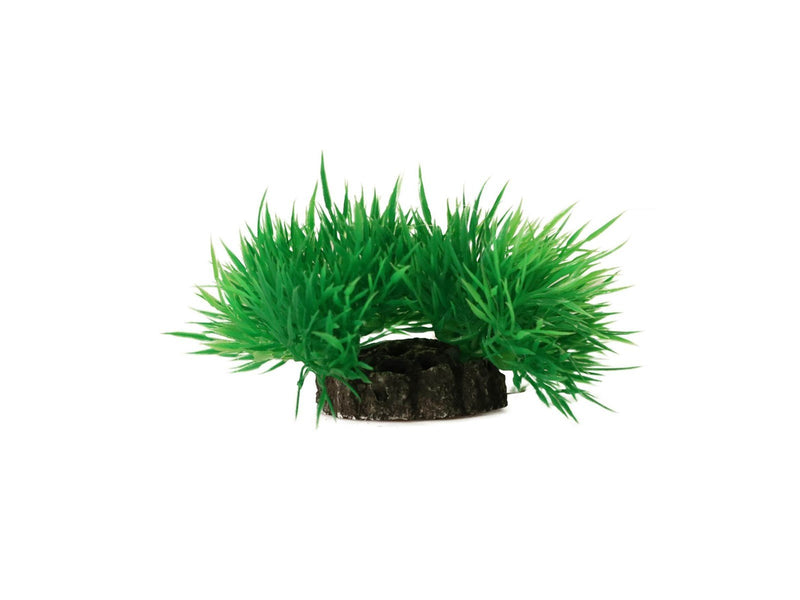 AQUAEL Decorative plant 7cm