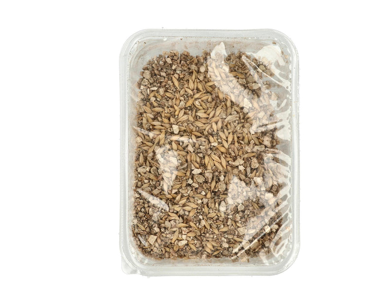 Dogman Cat Grass 100g