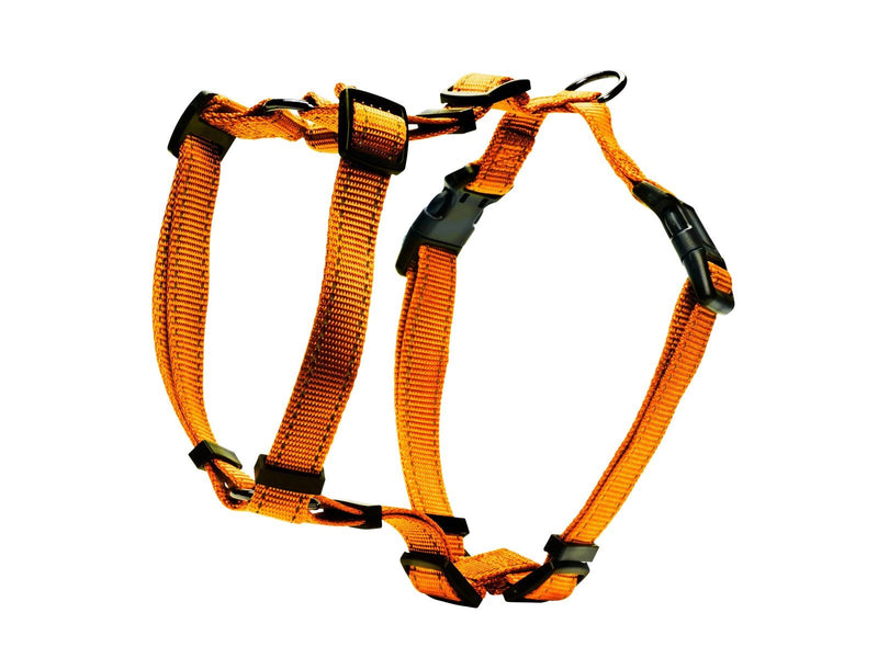 Dogman H-harness Iris