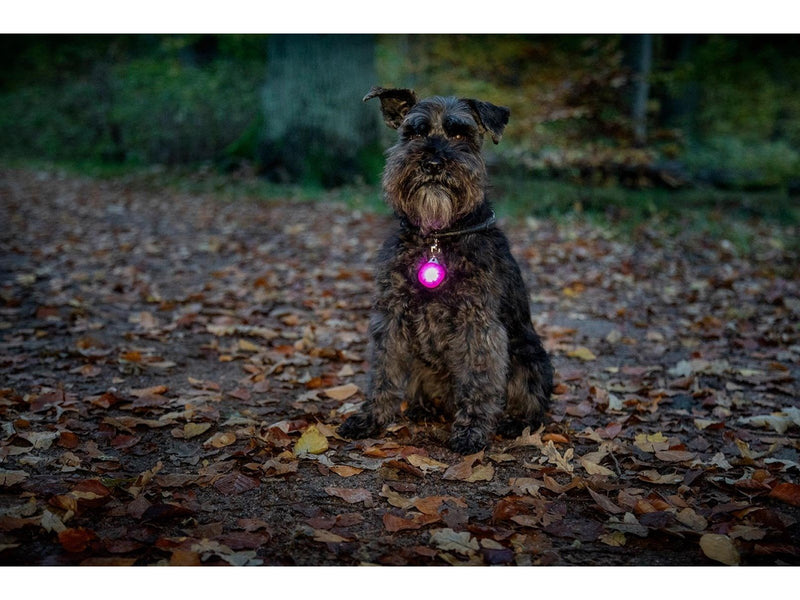 Dogman Dog Safety Light Flashing Lamp Burger LED Green