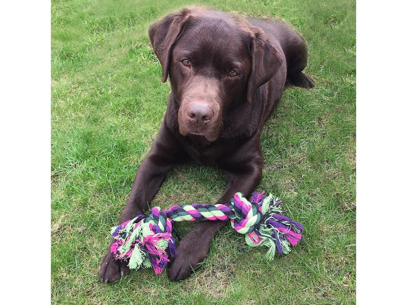Dogman Hundespielzeug Vixen Seil mit 2 Knoten L 37cm