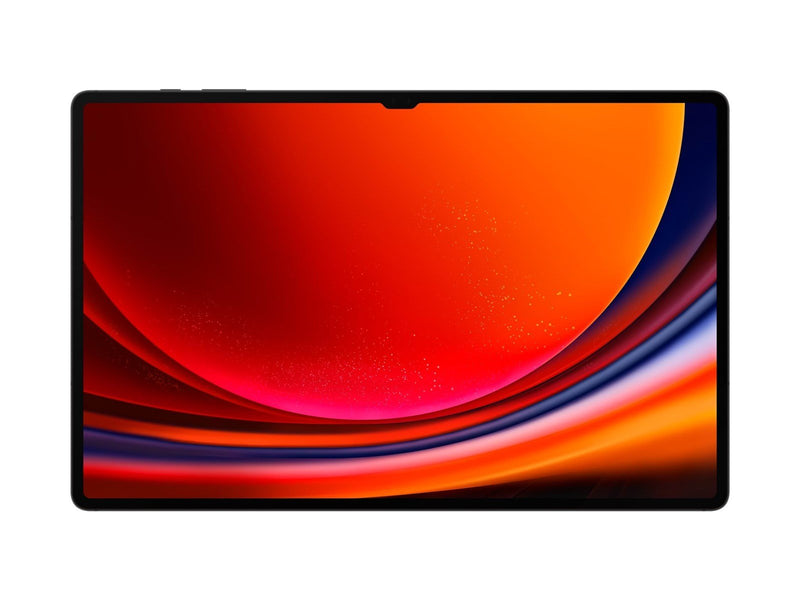 Samsung Galaxy Tab S9 Ultra 1TB/16GB - Graphite