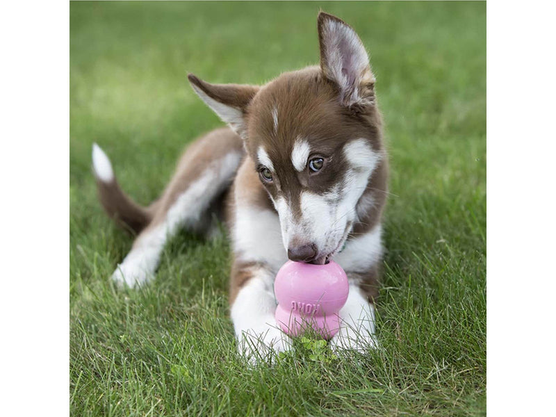 KONG Easytreat Puppy 236ml