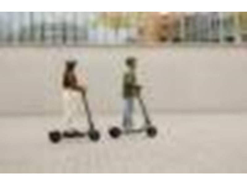Segway Ninebot Kickscooter F2 E (25 km/h)