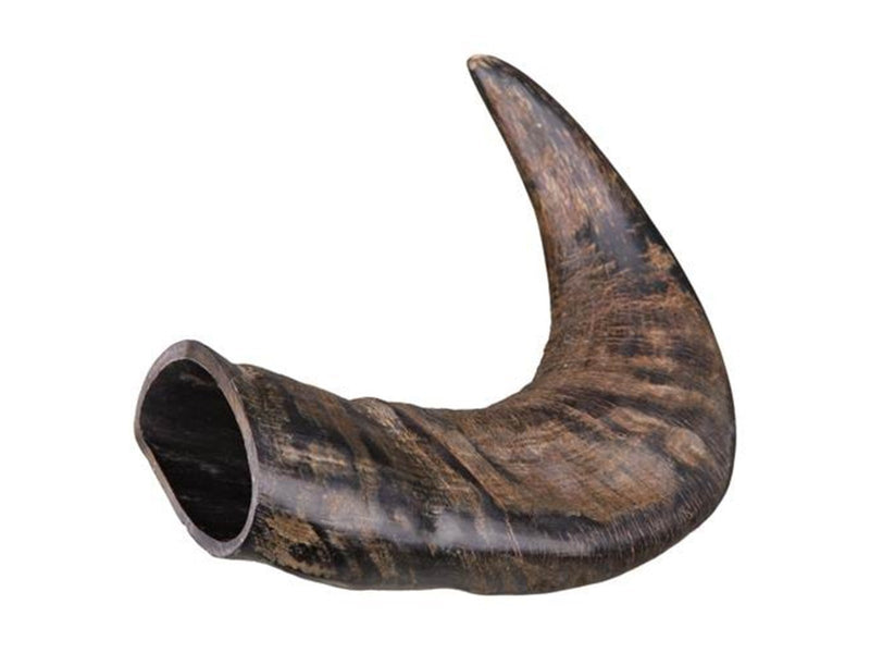 Trixie Buffalo Chewing Horn packaged medium