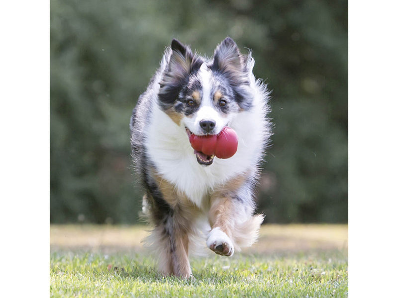 KONG Dog Toy Kong Classic Medium 8.8cm