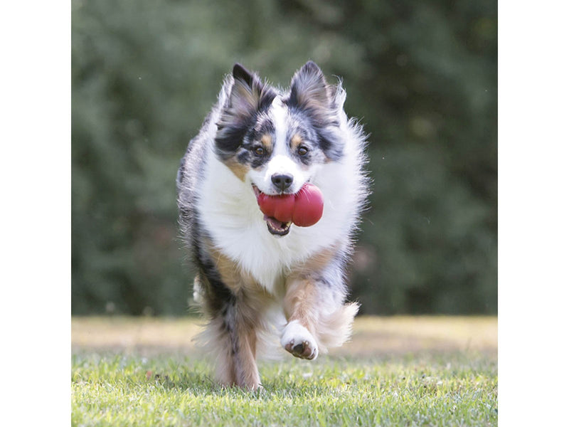 KONG Dog Toy Kong Classic XLarge 12.7cm