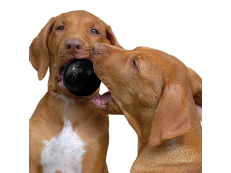 KONG Dog Toy Extreme Ball Medium/Large 7.5cm