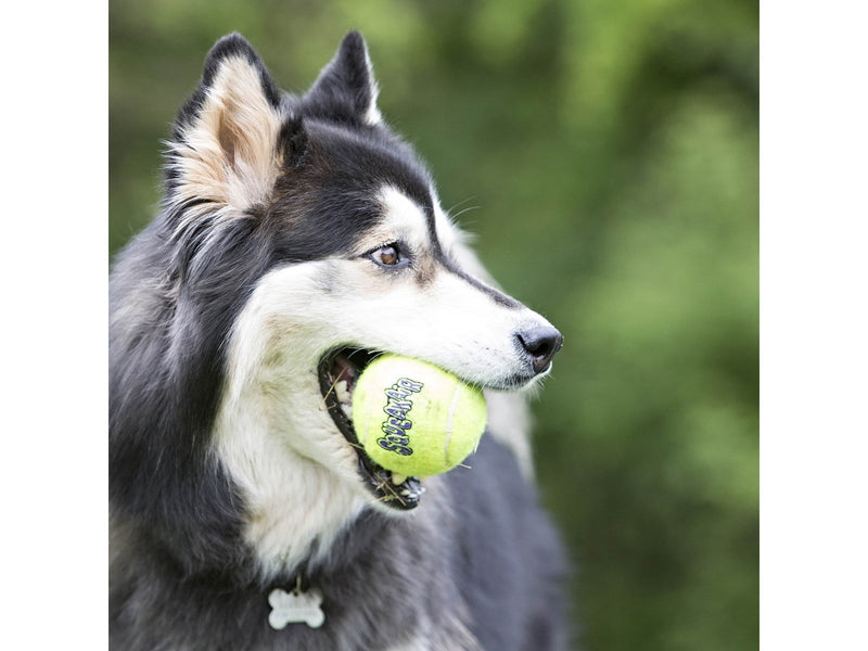 KONG Dog Toy SqueakAir Ball 6cm