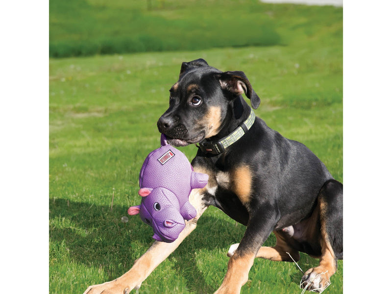 KONG Dog Toy Phatz Hippo Medium 22cm