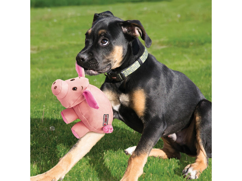 KONG Dog Toy Phatz Pig Small (8x8x12cm)