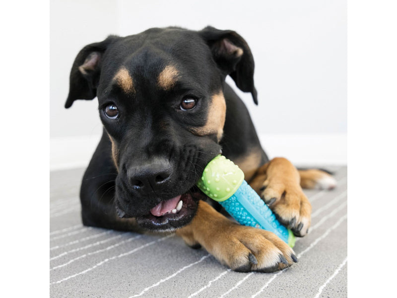 KONG Dog Toy CoreStrength Bone Medium/Large 18cm