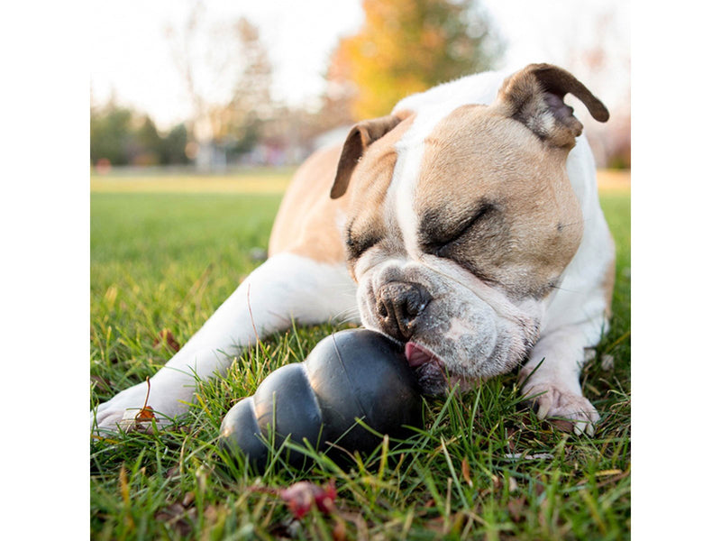 KONG Dog Toy Kong Extreme Small 7.6cm