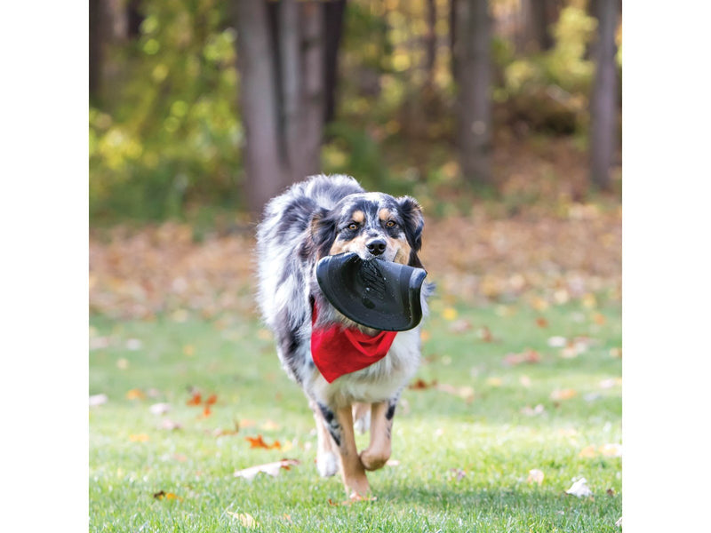 KONG Dog Toy Extreme Flyer Frisbee 25cm