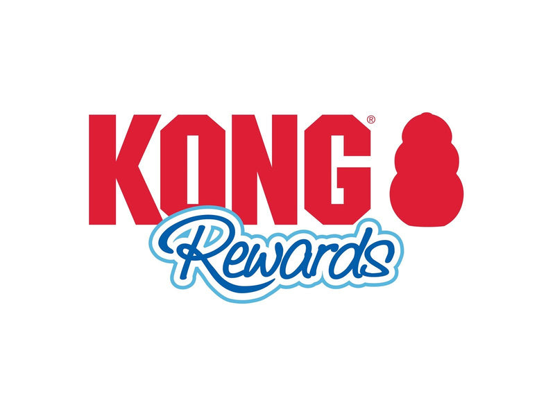 KONG Dog Toy Rewards Ball Large 12cm