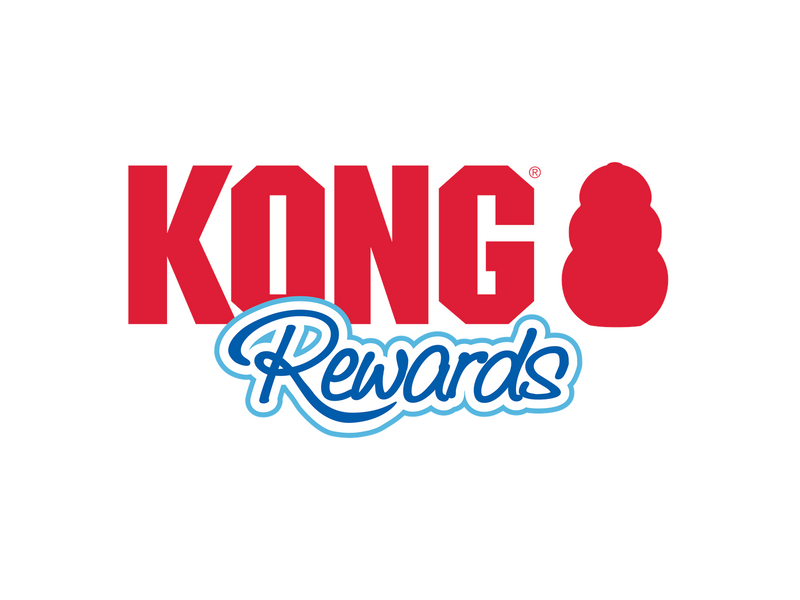 KONG Dog Toy Rewards Shell S