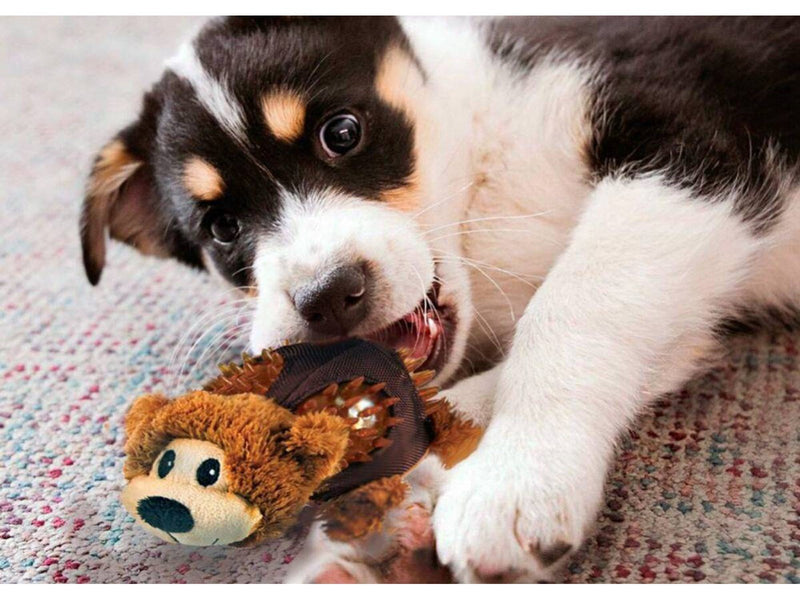 KONG Dog Toy Shells Bear 14cm