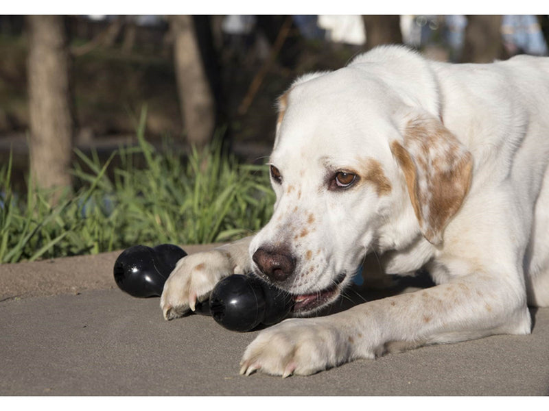 KONG Dog Toy Extreme Goodie Bone Large 21.5cm