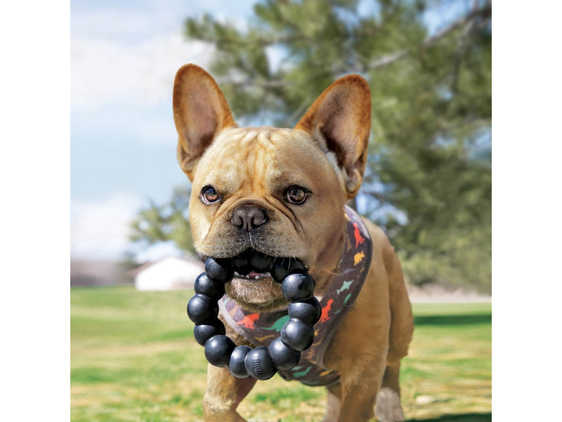 KONG Dog Toy Extreme Ring XL 13cm