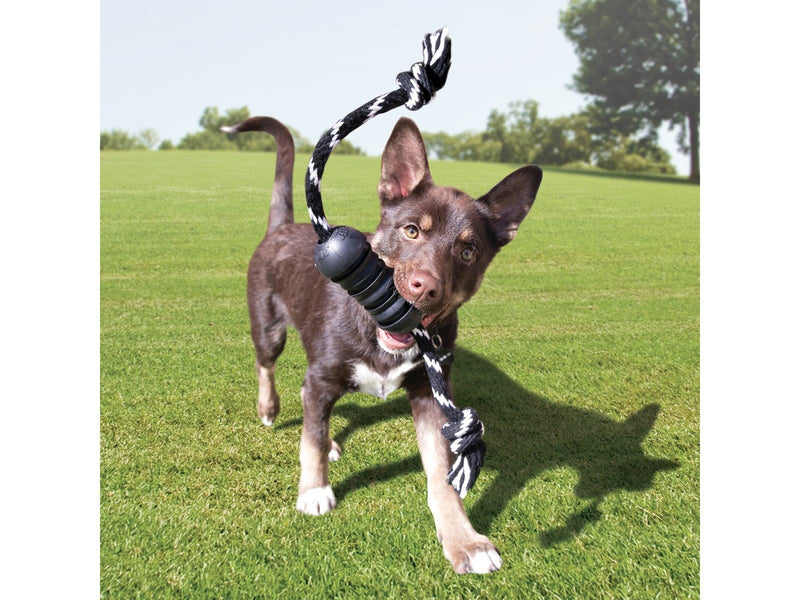 KONG Dog Toy Extreme Dental W/Rope Medium