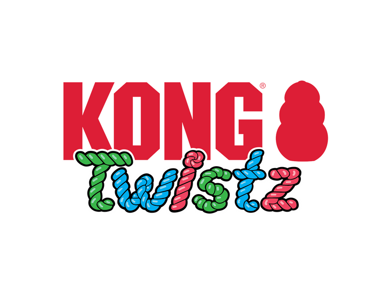 KONG Dog Toy Twistz Ring Small 17cm
