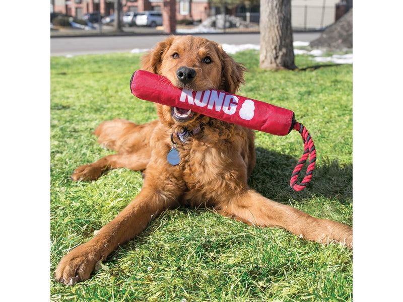 KONG Hundespielzeug Signature Stick mit Seil 30cm