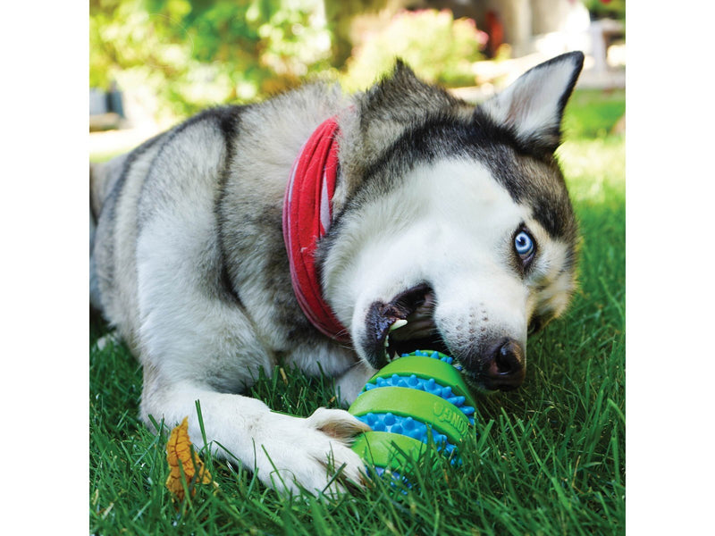 KONG Toy Squeezz Goomz Ball XL 9cm