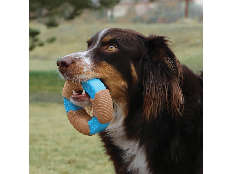 KONG Dog Toy CoreStrength Bamboo Ring Small 9cm