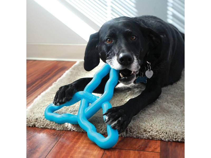 KONG Dog Toy Flyangle Assorted Colors Large