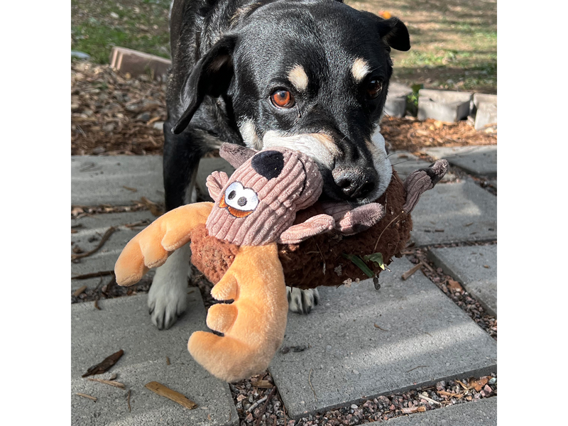 KONG Dog Toy Sherps Floofs Moose 25cm