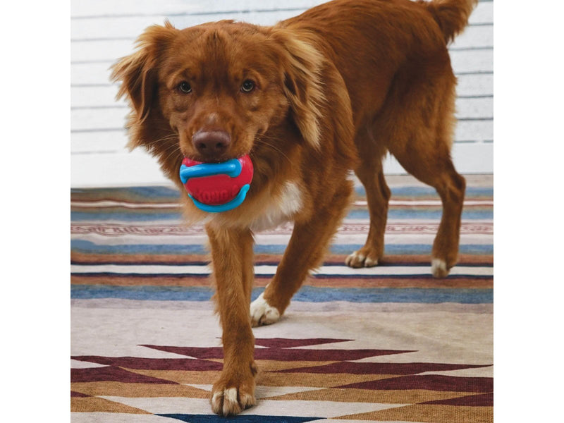 KONG Dog Toy Jaxx Brights Ball Assorted Colors Medium 6cm