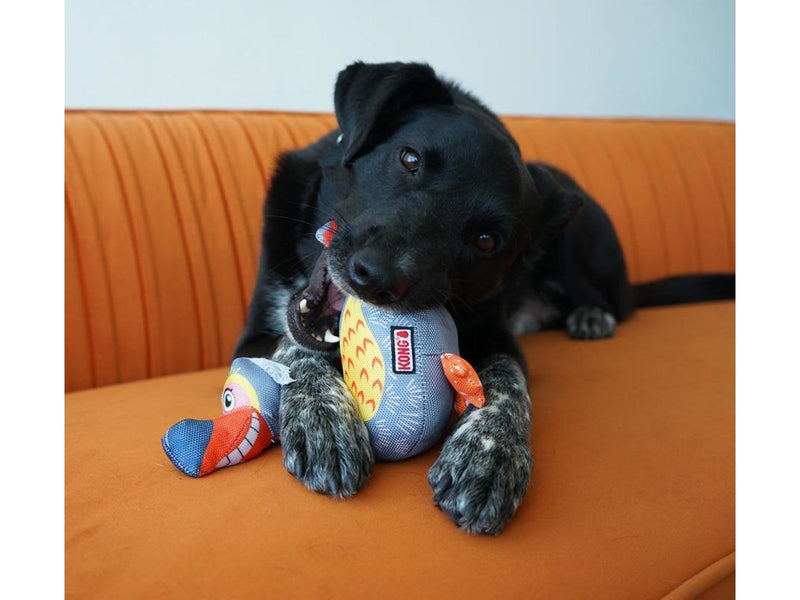 KONG Toy Ballistic Vibez Birds