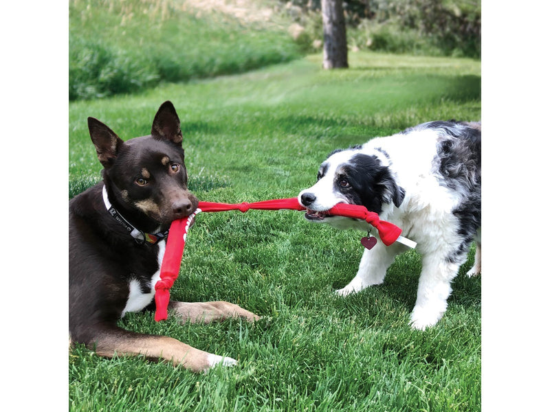 KONG Dog Toy Signature Crunch Rope Triple 91cm