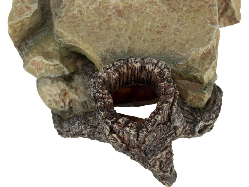 Trixie Rock Plateau with Tree Stump