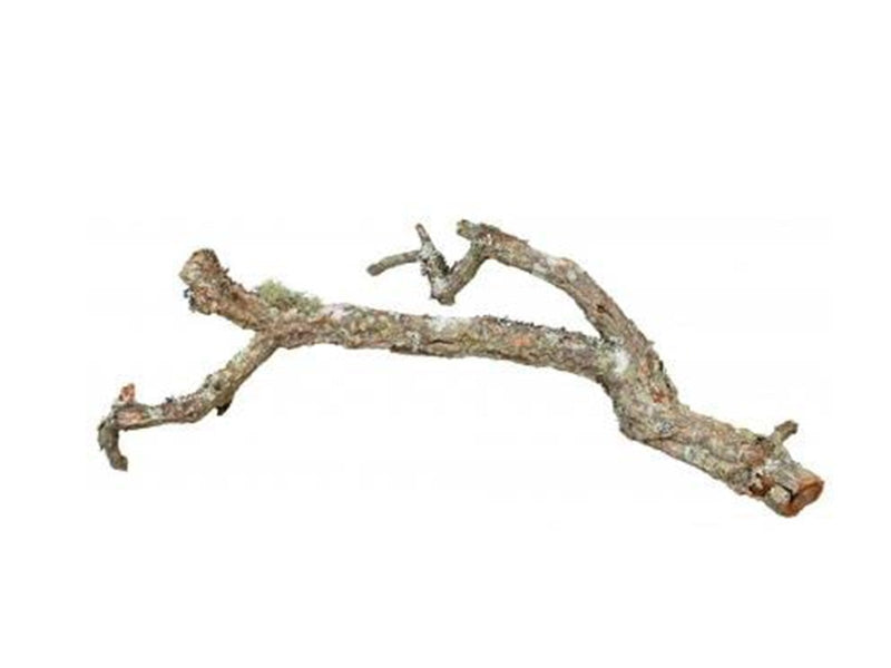 Trixie Tronchos Mixed Cork-Branches