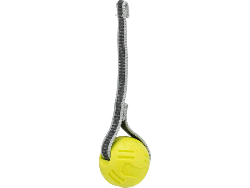 Trixie Hundespielzeug Ball an einem Band