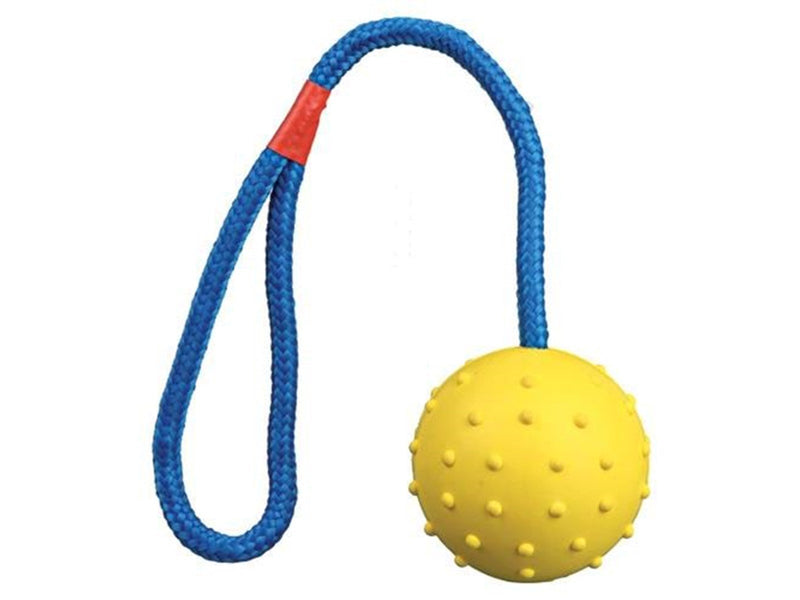 Trixie Ball on a Rope ø6cm assorted colours