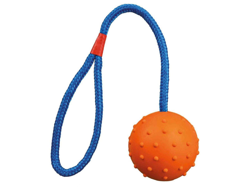 Trixie Ball on a Rope ø6cm assorted colours