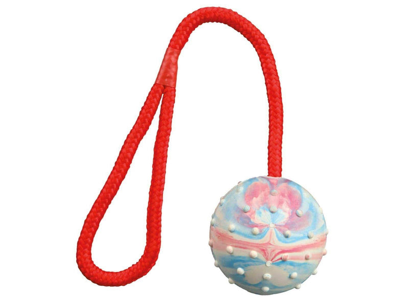 Trixie Ball on a Rope ø6cm assorted colours