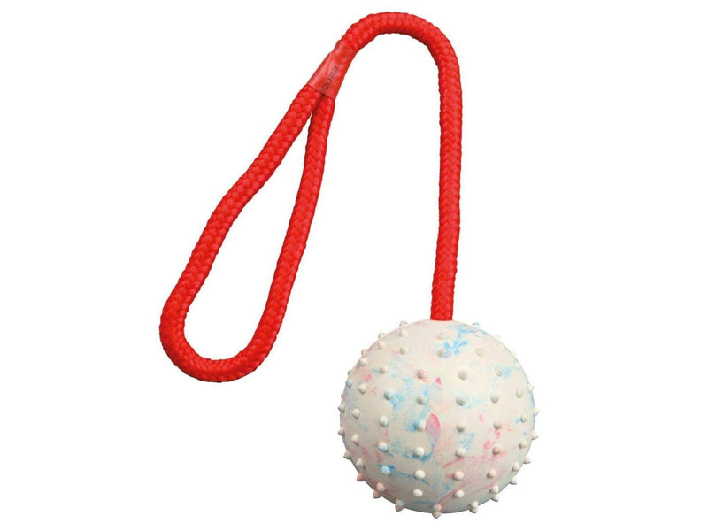 Trixie Ball on a Rope ø6cm assorted colours
