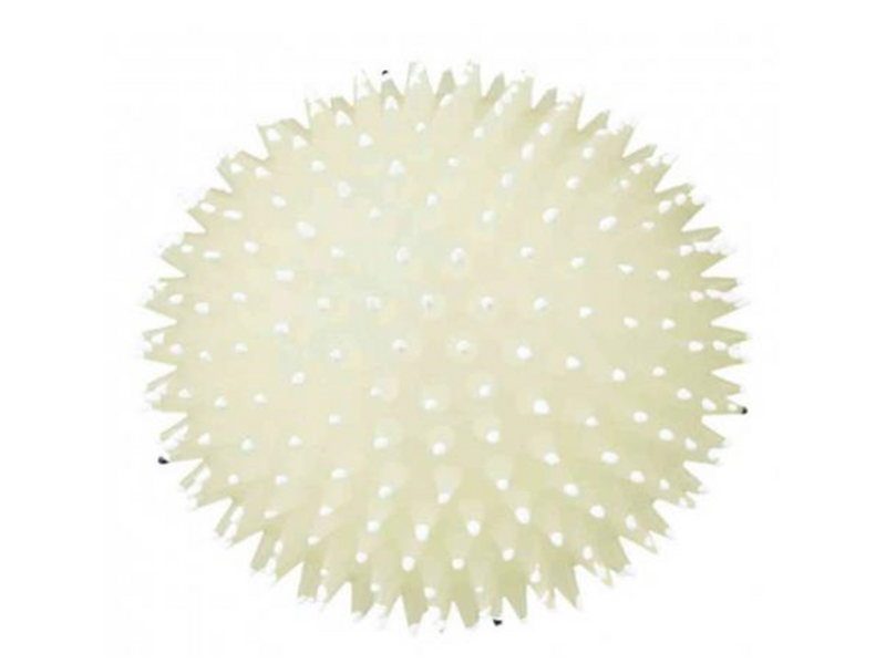 Trixie Hedgehog Ball for Dogs ø 10 cm assorted colours