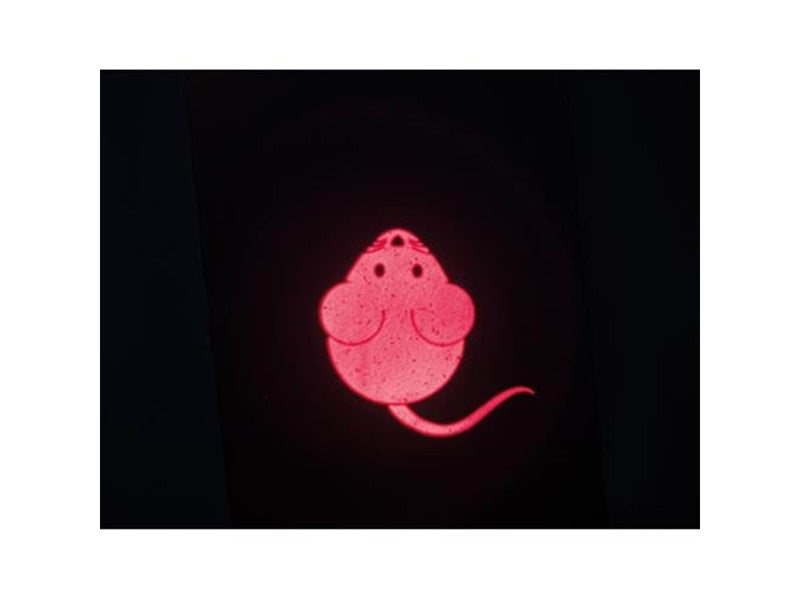 Trixie Catch the Light LED Pointer Mouse USB 8.5 cm